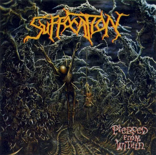 Pierced From Within (1995)