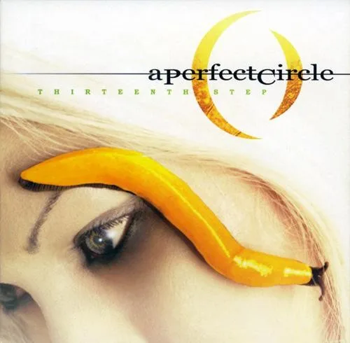 Thirteenth Step (2003)