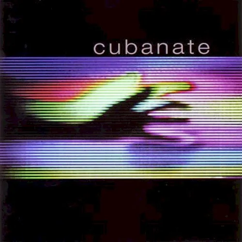 Interference (1998)