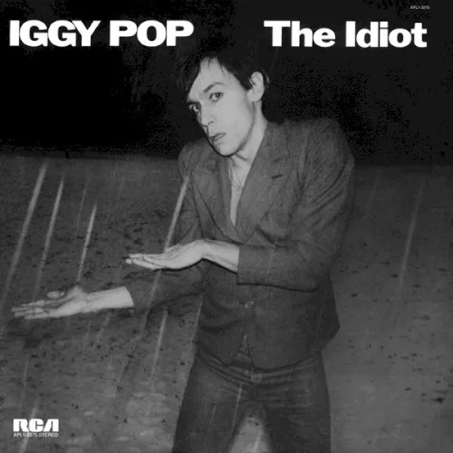 The Idiot (1977)
