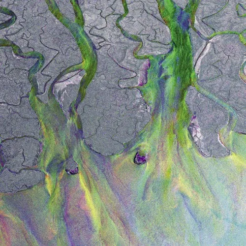 An Awesome Wave (2012)