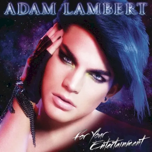 For Your Entertainment (2009)