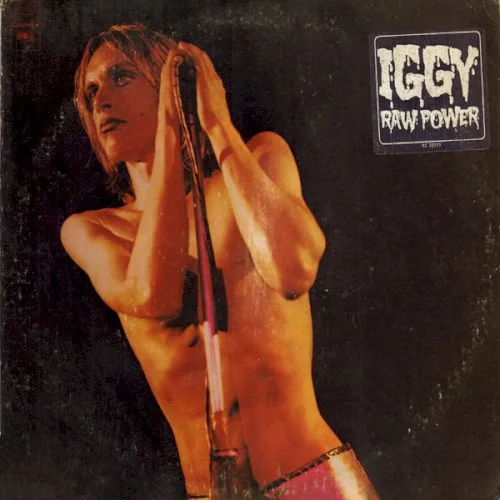 Raw Power (1973)