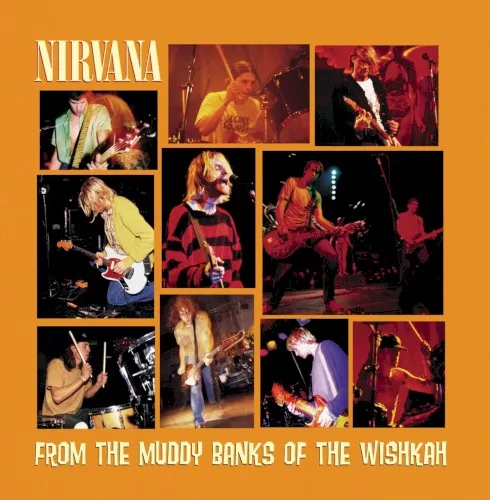 From the Muddy Banks of the Wishkah (1996)