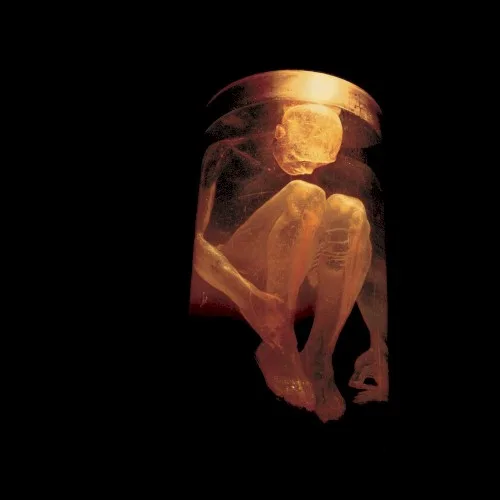 Nothing Safe: The Best of the Box (1999)