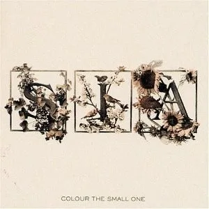 Colour the Small One (2004)