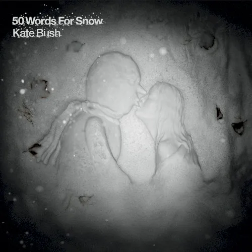 50 Words for Snow (2011)