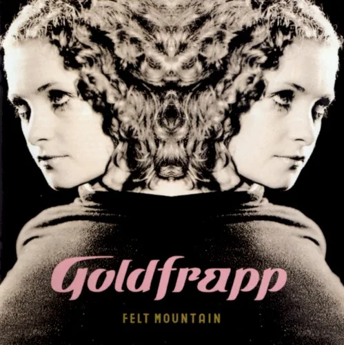 Felt Mountain (2000)
