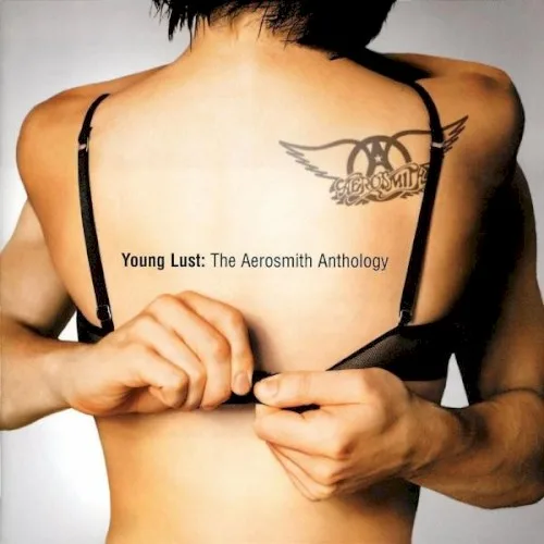 Young Lust: The Aerosmith Anthology (2001)