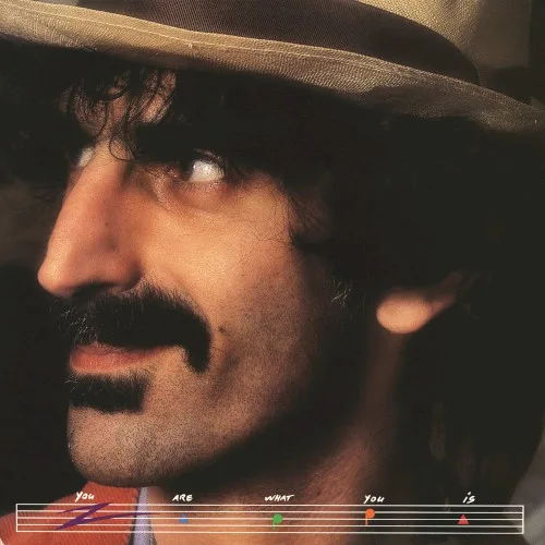 You Are What You Is (1981)