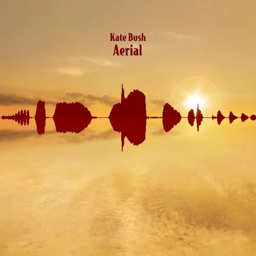 Aerial (2005)
