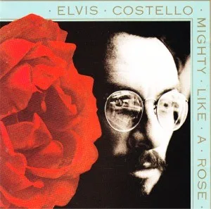 Mighty Like a Rose (1991)