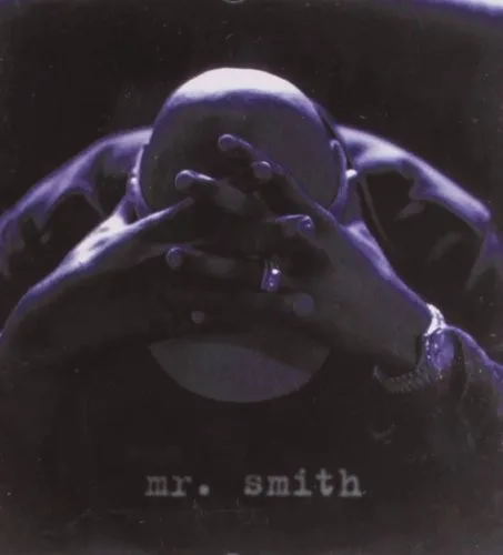 Mr. Smith (1995)