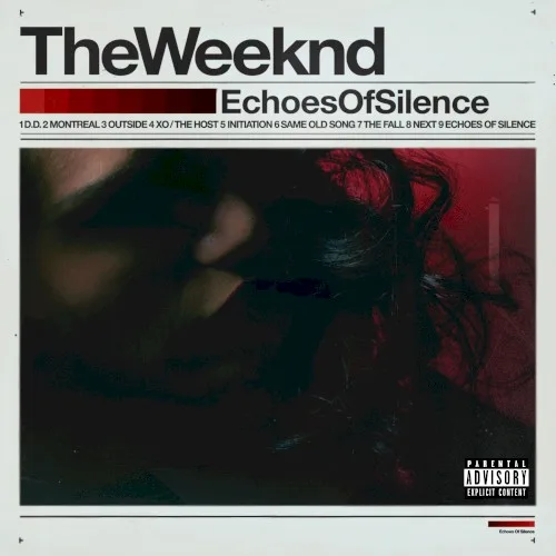 Echoes of Silence (2011)