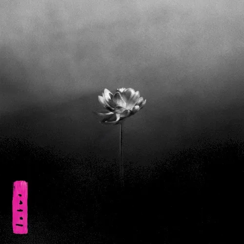 Lotus (2025)