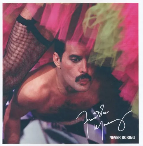 Never Boring (2019)