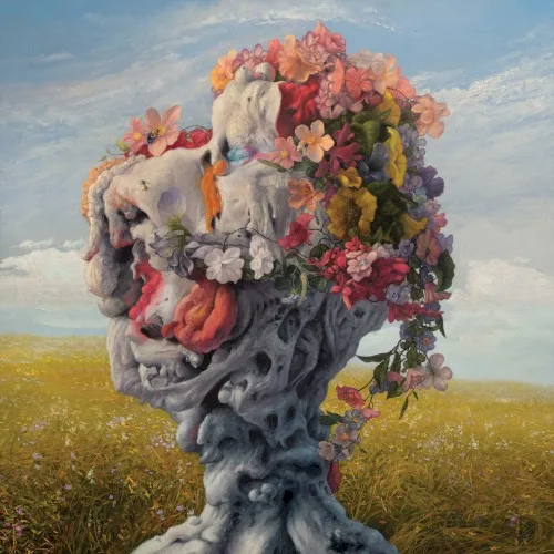 Veil of Imagination (2019)
