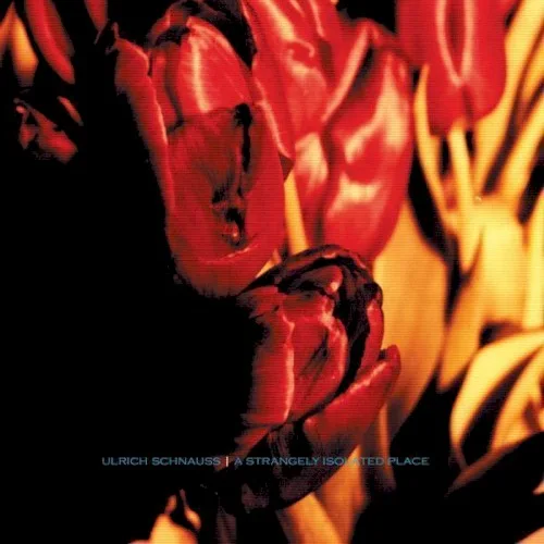 A Strangely Isolated Place (2003)
