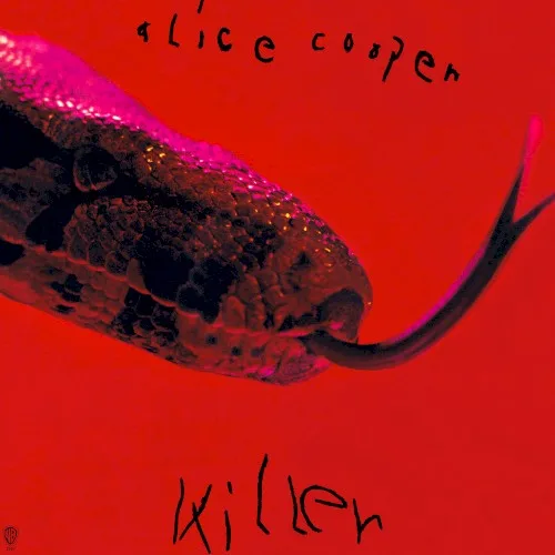Killer (1971)