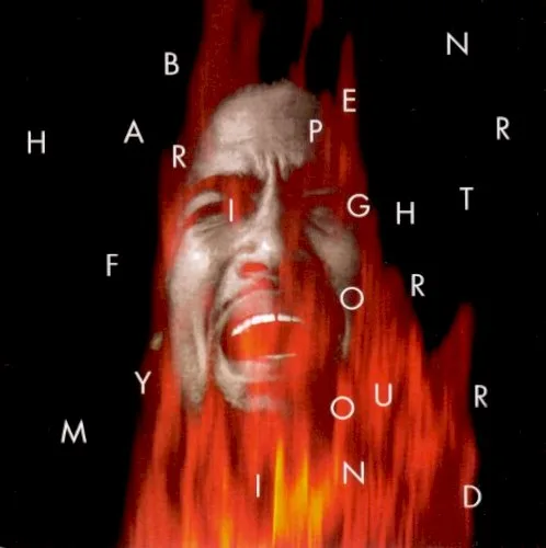 Fight for Your Mind (1995)