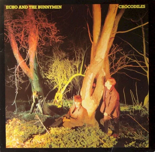 Crocodiles (1980)