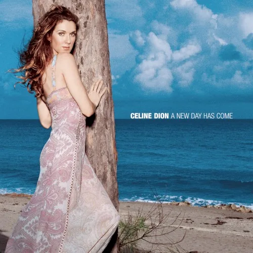 A New Day Has Come (2002)
