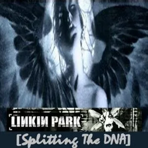 Splitting the DNA (2001)
