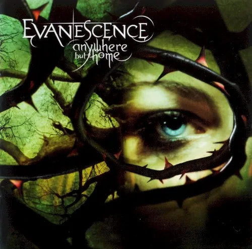Anywhere but Home (2004)
