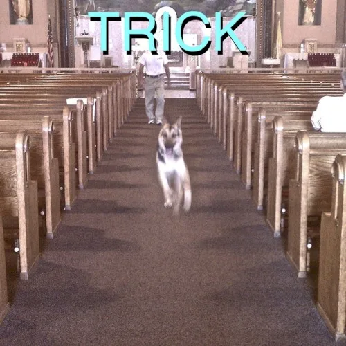 Trick (2012)