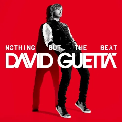 Nothing but the Beat (2011)