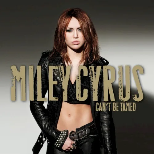 Can’t Be Tamed (2010)