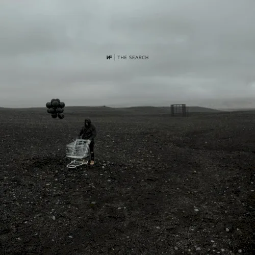 The Search (2019)