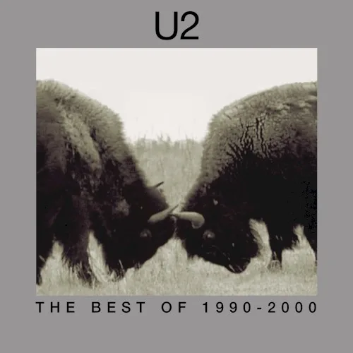 The Best of 1990–2000 (2002)