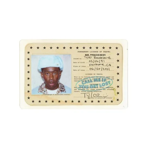 CALL ME IF YOU GET LOST (2021)