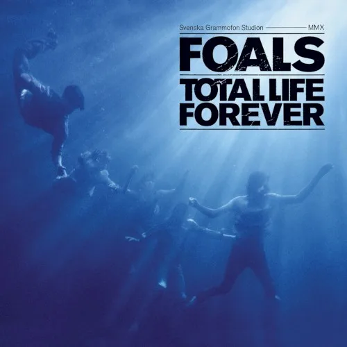 Total Life Forever (2010)