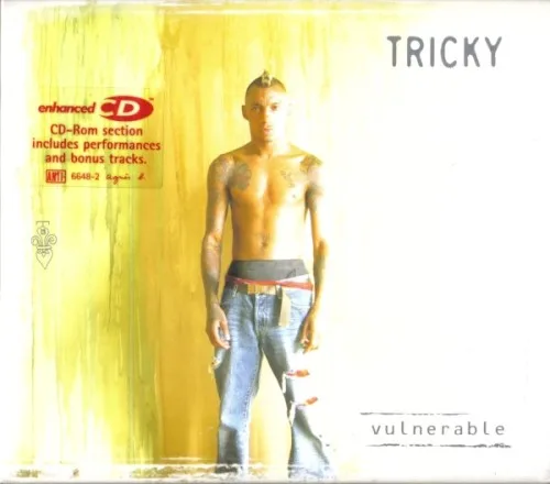 Vulnerable (2003)