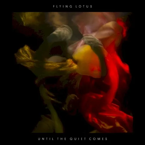 Until the Quiet Comes (2012)