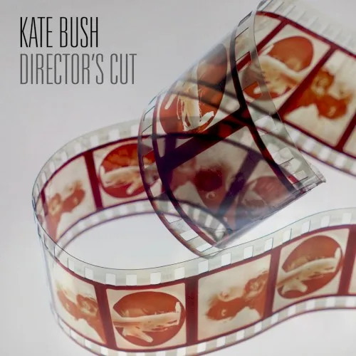 Director’s Cut (2011)