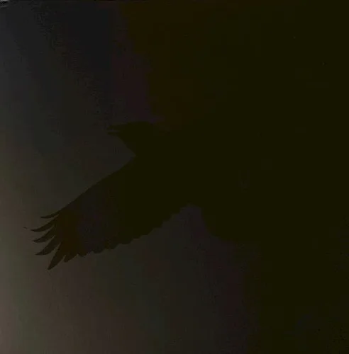Odin’s Raven Magic (2020)