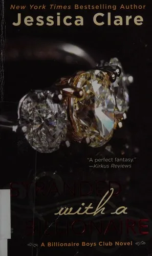 Stranded with a billionaire (2014)