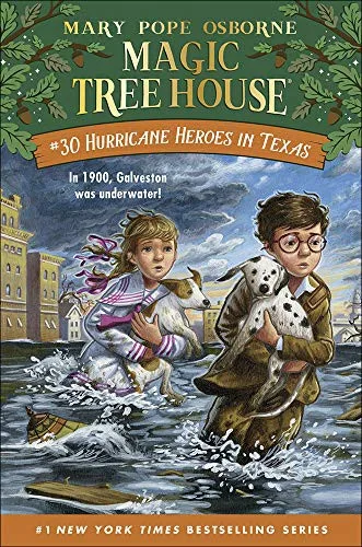 Hurricane heroes in Texas (2018)