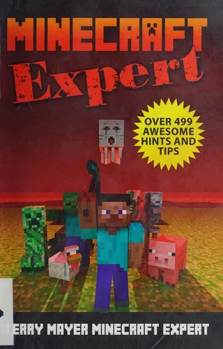 Minecraft expert (2014)