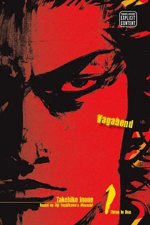 Vagabond VIZBIG Edition, Vol. 1 (2008)
