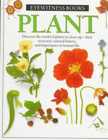 Plant (1989)