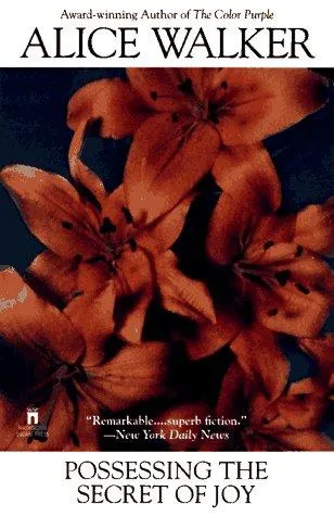 Possessing the Secret of Joy (1992)
