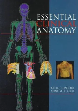 Essential clinical anatomy (1996)