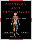 Anatomy and Physiology (2006)