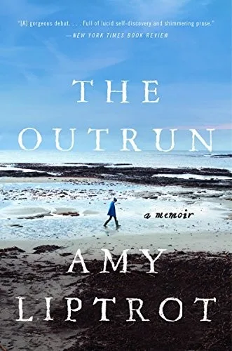 The outrun (2015)
