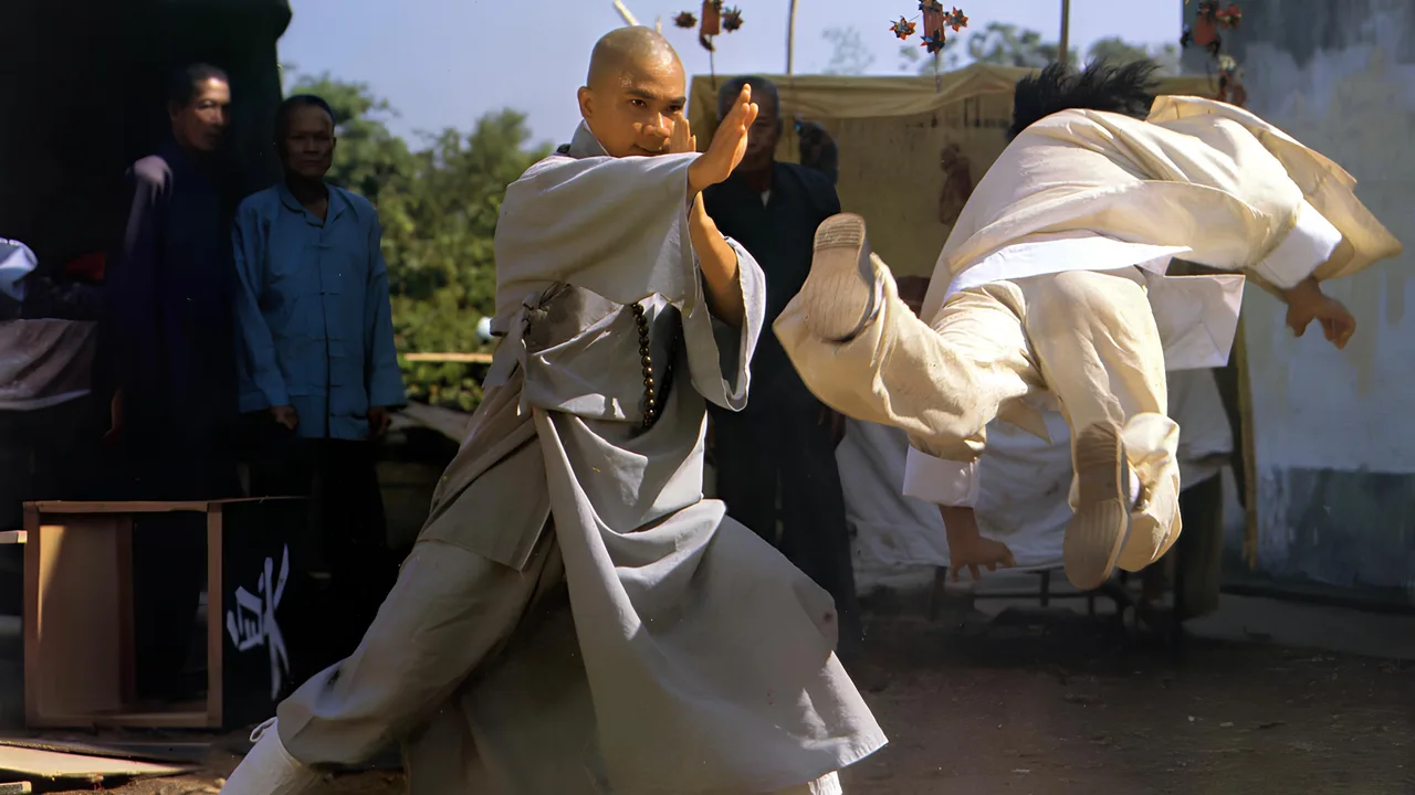The Buddhist Fist (1980)