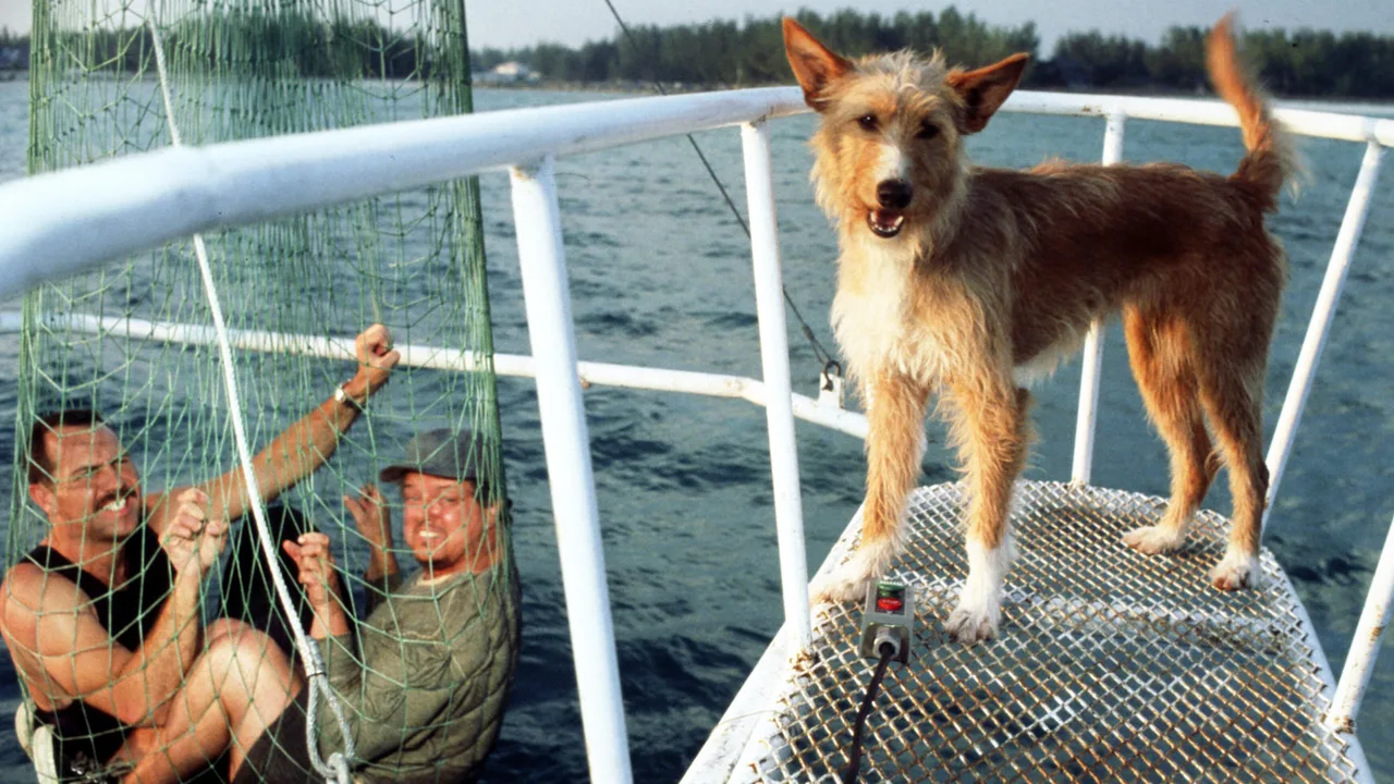 Zeus & Roxanne (1997)